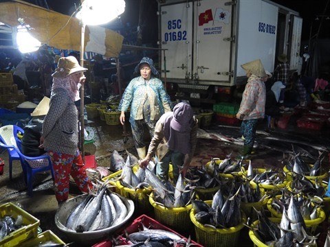 Hausse des exportations nationales de thon vers l’UE